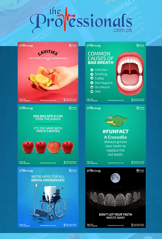 Professionals social media portfolio